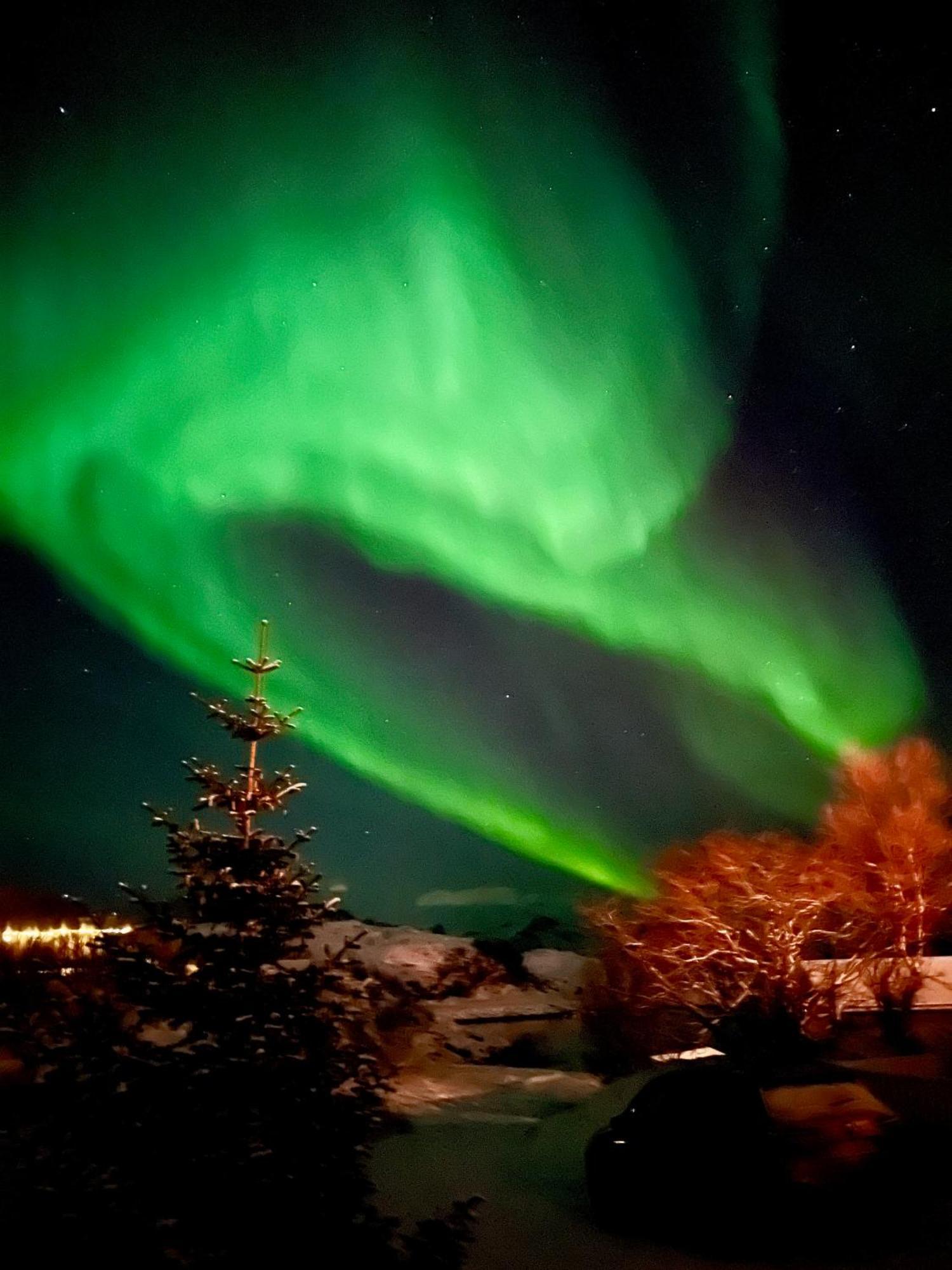 Brensholmen Beach House Tromsø Zewnętrze zdjęcie